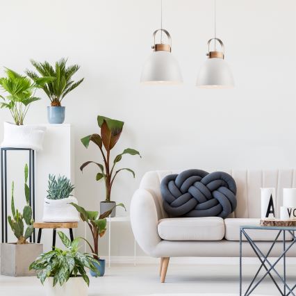 Candelabru suspendat pe cablu DANIELLE 2xE27/60W/230V fag