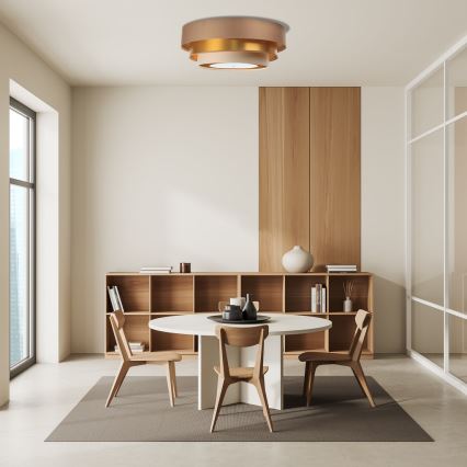 Lustr de tavan TRINITI 2xE27/60W/230V maro/auriu/bej