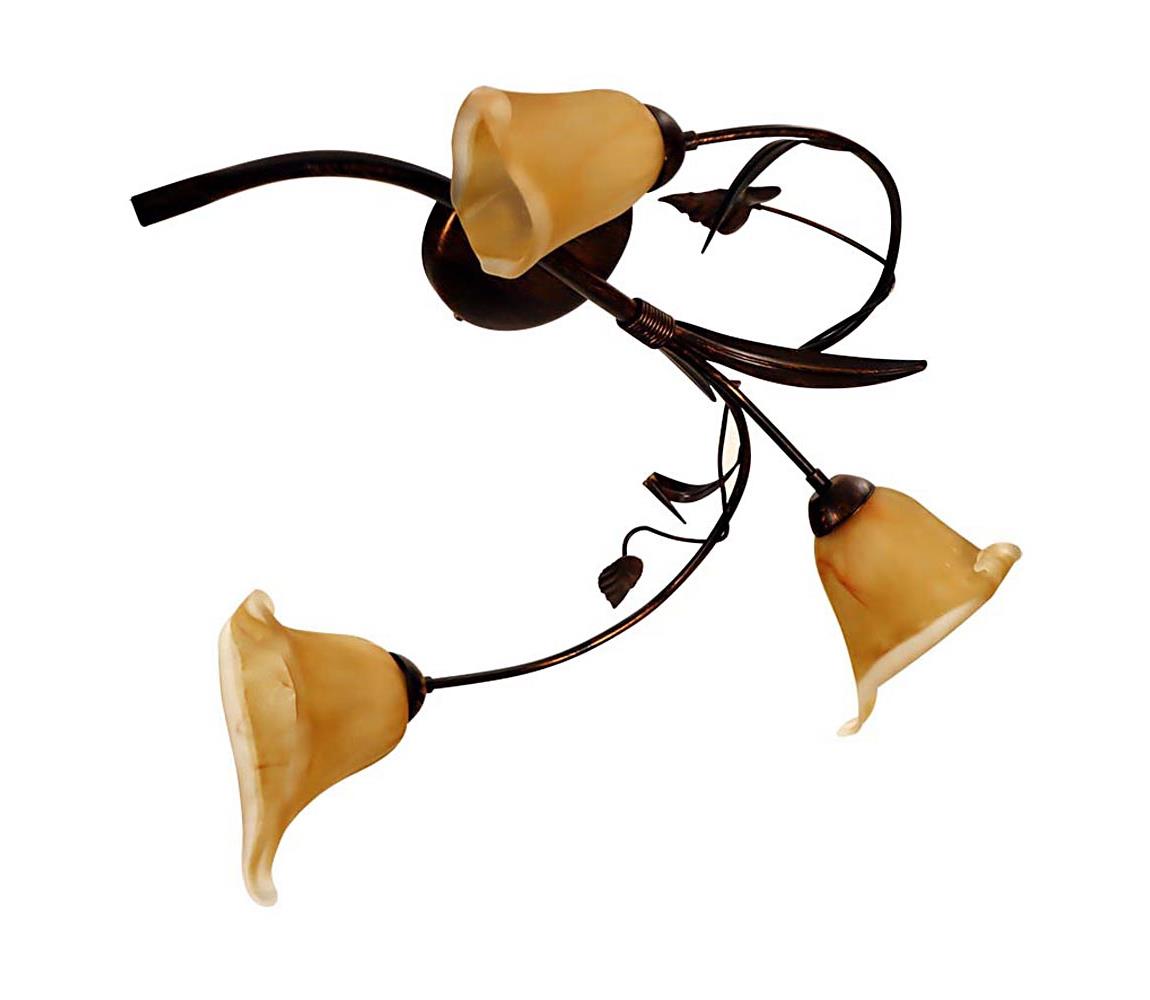 Lustră aplicată 3xE14/40W/230V