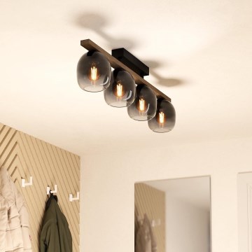 Lustră aplicată 4xE27/40W/230V Eglo