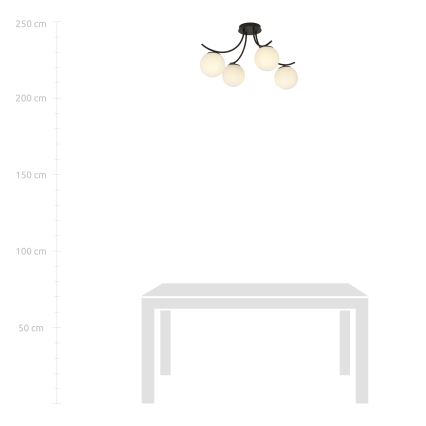 Lustră aplicată BOSTON 4xE14/10W/230V negru