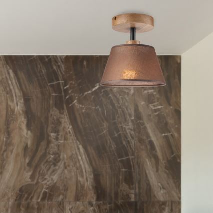 Lustră aplicată Brilagi ANTHONY 1xE14/60W/230V stejar/maro