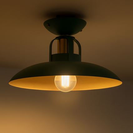 Lustră aplicată Brilagi FLAMENGO 1xE27/60W/230V verde