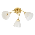 Lustră aplicată CLARA 3xE27/15W/230V aurie
