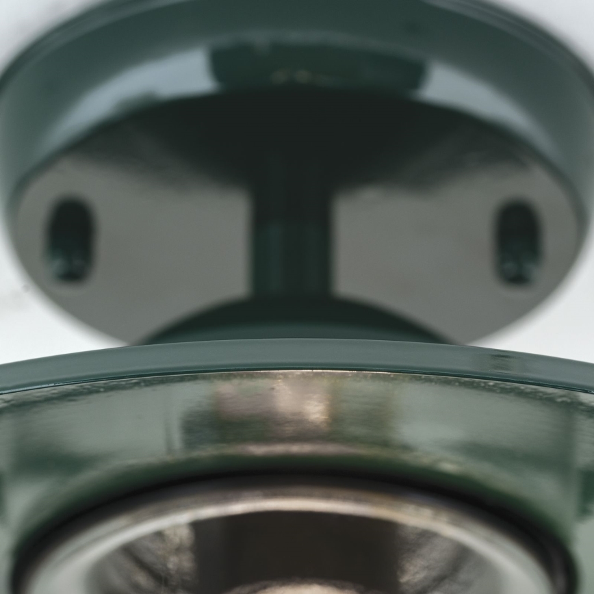 Lustră aplicată de exterior EDWARD 1xE27/60W/230V IP44 verde