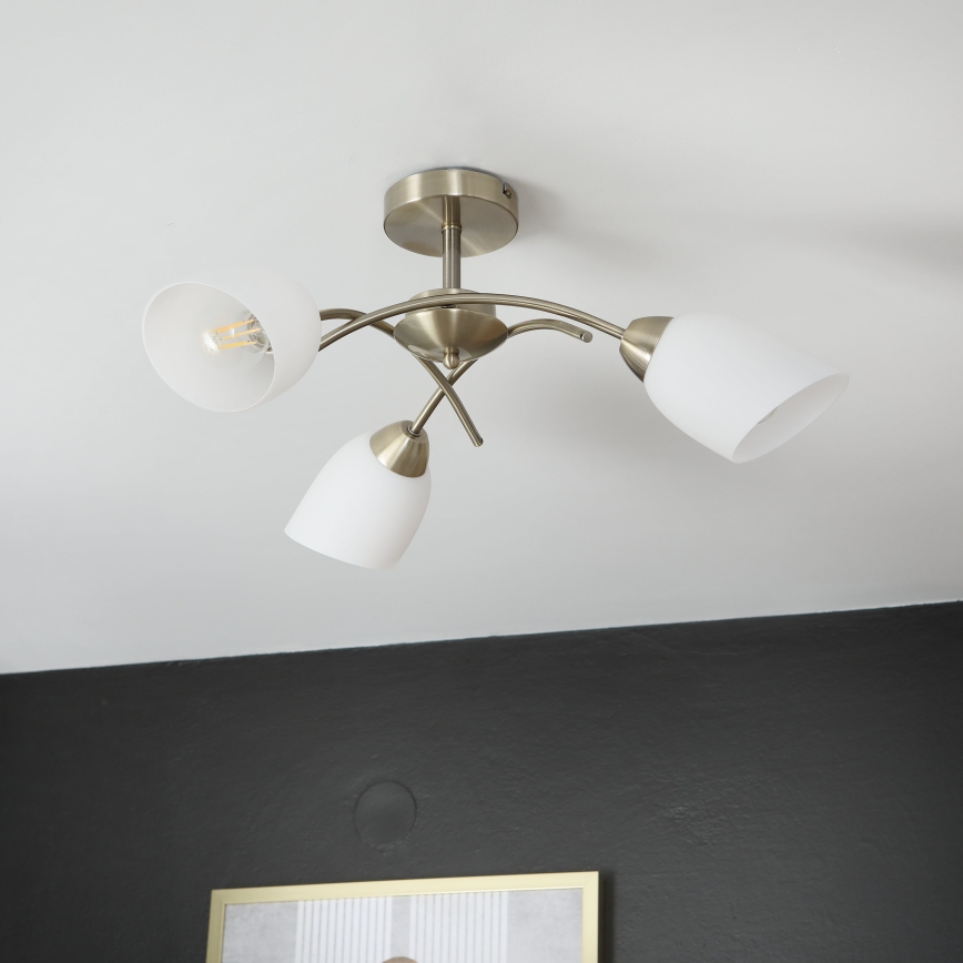 Lustră aplicată DONNA 3xE27/60W/230V patină