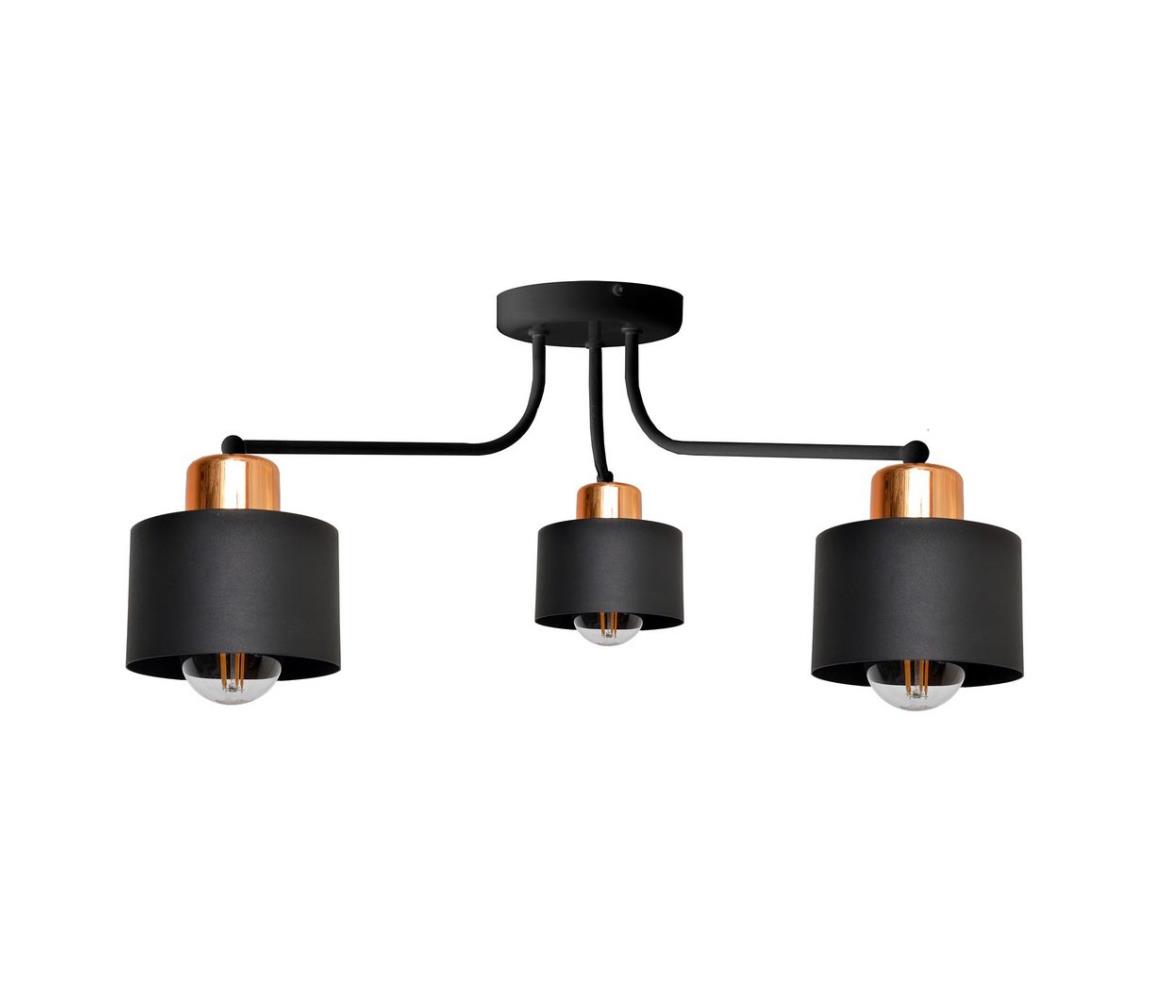 Lustră aplicată EDISON 3xE27/60W/230V