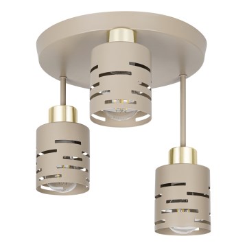 Lustră aplicată ELEN 3xE27/35W/230V bej/auriu