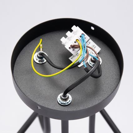 Lustră aplicată LED OXFORD 3x E27/15W/230V neagră