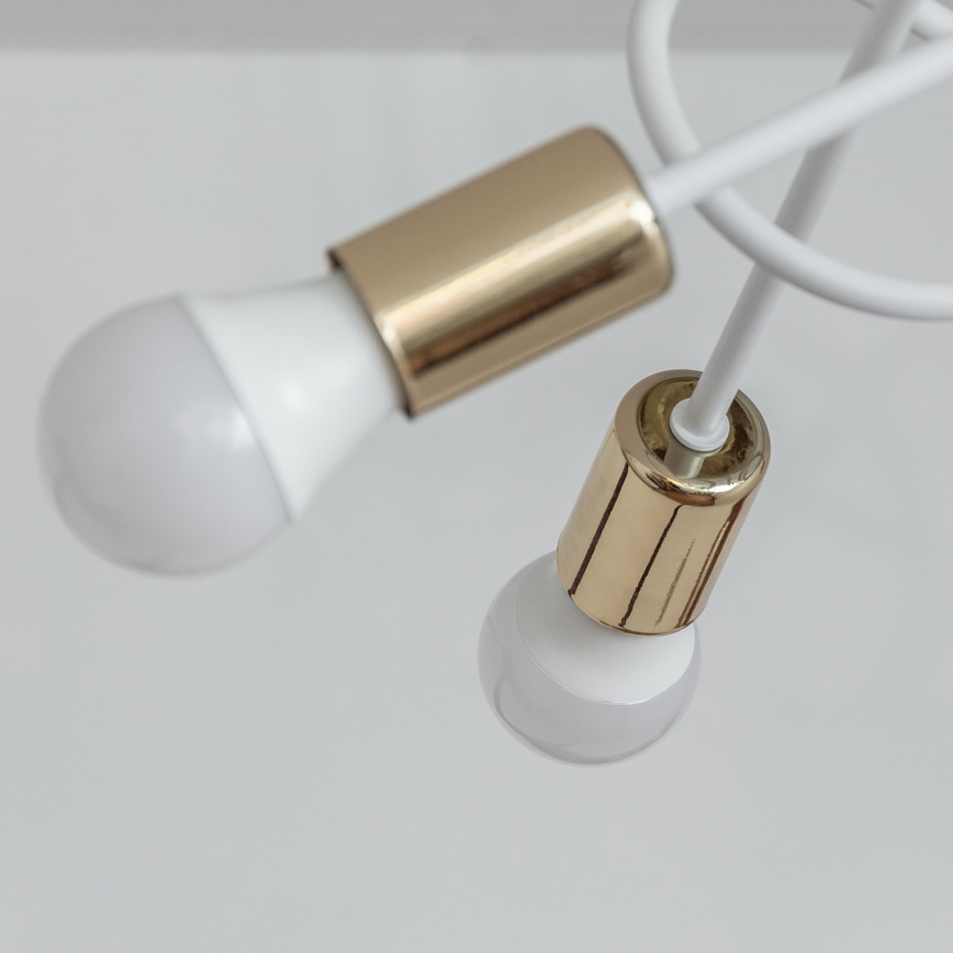 Lustră aplicată OXFORD 5xE27/15W/230V aurie/albă