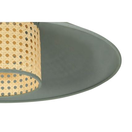 Lustră aplicată RIO Duolla RATTAN 1xE27/15W/230V d. 45 cm verde/ratan