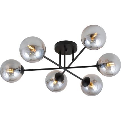 Lustră aplicată ROMA 6xE14/10W/230V negru/fumuriu
