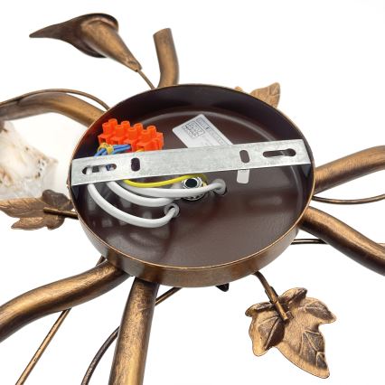 Lustră aplicată ROZETA 3xE14/40W/230V bronz