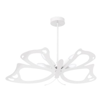 Lustră copii pe cablu FLUTURE 4xE14/40W/230V