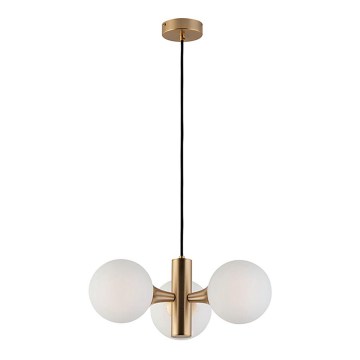 Lustră cu cablu GLOBE 3xE14/7W/230V, aurie
