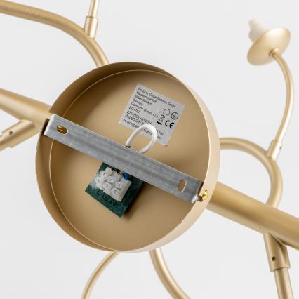 Lustră LED aplicată Brilagi MISTEL 15xG9/3W/230V auriu/alb