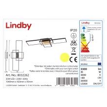Lustră LED aplicată dimabilă EMILJAN LED/35W/230V Lindby