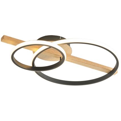 Lustră LED dimabilă aplicată Zuma Line LED/17W/230V