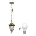 Lustră LED de exterior FLORENCJA 1xE27/10W/230V IP43