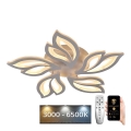 Lustră LED dimabilă aplicată LED/65W/230V 3000-6500K + telecomandă