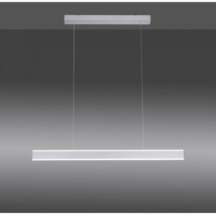 Lustră LED dimabilă pe cablu ARINA LED/20W/230V Paul Neuhaus 8363-55