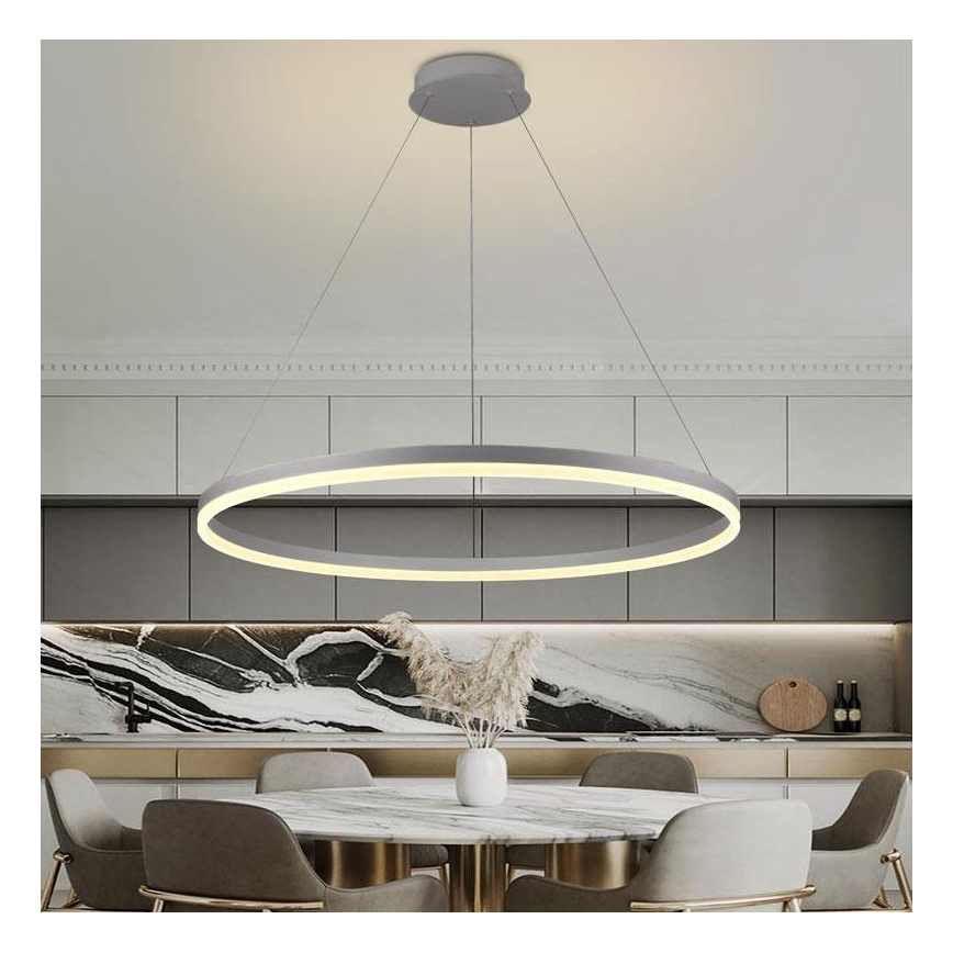 Lustră LED dimabilă pe cablu Brilagi CIRCLE LED/55W/230V 3000-6500K argintiu + telecomandă