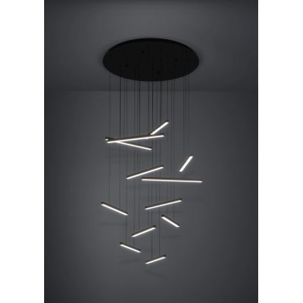 Lustră LED dimabilă pe cablu Eglo 12xLED/8,4W/230V 3000K