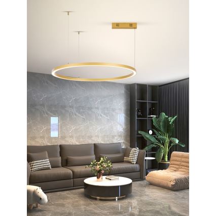 Lustră LED dimabilă pe cablu FINO LED/60W/230V 80 cm auriu Tuya Immax NEO 07217L + telecomandă