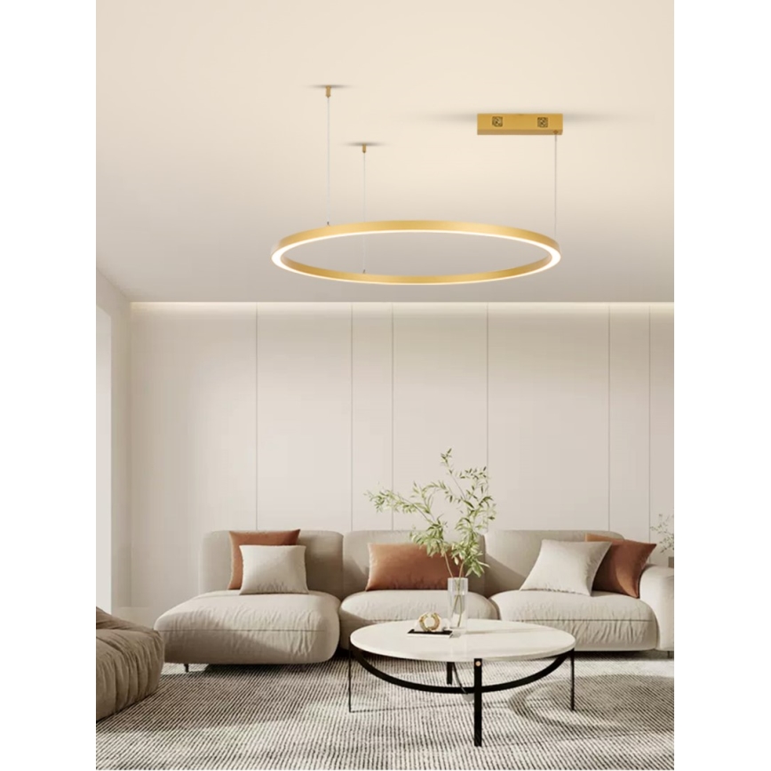 Lustră LED dimabilă pe cablu FINO LED/60W/230V 80 cm auriu Tuya Immax NEO 07217L + telecomandă