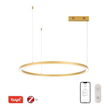 Lustră LED dimabilă pe cablu FINO LED/60W/230V 80 cm auriu Tuya Immax NEO 07217L + telecomandă