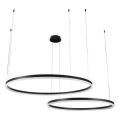 Lustră LED dimabilă pe cablu LED/100W/230V 3000-6500K + telecomandă