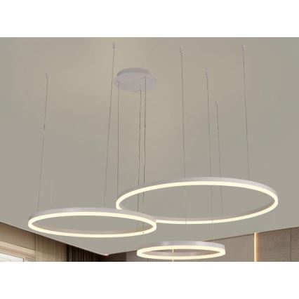 Lustră LED dimabilă pe cablu LED/125W/230V 3000-6500K + telecomandă