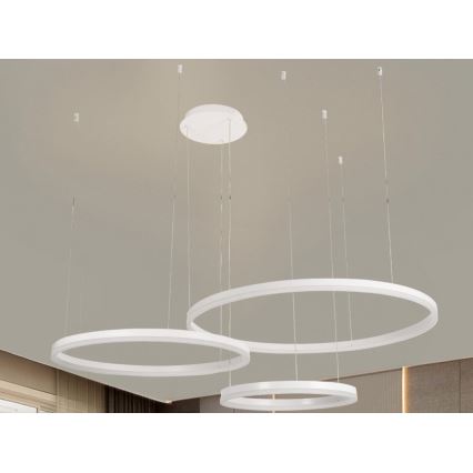 Lustră LED dimabilă pe cablu LED/125W/230V 3000-6500K + telecomandă