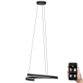 Lustră LED dimabilă pe cablu LED/42,5W/230V 3000-6500K Eglo