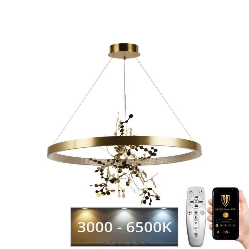 Lustră LED dimabilă pe cablu LED/55W/230V 3000-6500K auriu + telecomandă