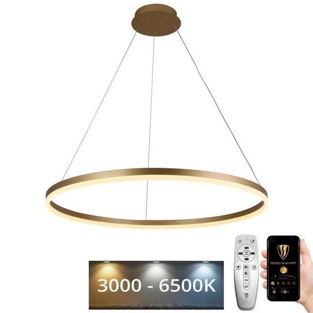 Lustră LED dimabilă pe cablu LED/55W/230V 3000-6500K d. 80 cm + telecomandă