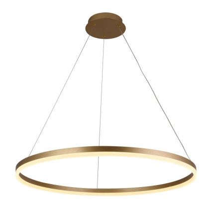 Lustră LED dimabilă pe cablu LED/55W/230V 3000-6500K d. 80 cm + telecomandă