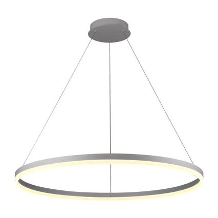Lustră LED dimabilă pe cablu LED/55W/230V 3000-6500K d. 80 cm + telecomandă