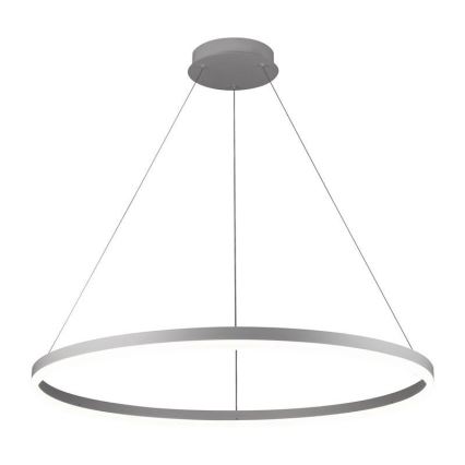 Lustră LED dimabilă pe cablu LED/55W/230V 3000-6500K d. 80 cm + telecomandă