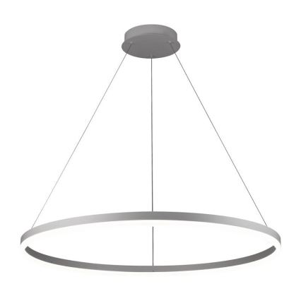 Lustră LED dimabilă pe cablu LED/55W/230V 3000-6500K d. 80 cm + telecomandă