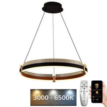 Lustră LED dimabilă pe cablu LED/80W/230V 3000-6500K d. 60 cm + telecomandă