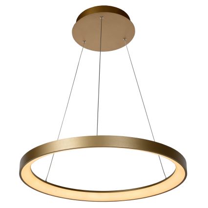 Lustră LED dimabilă pe cablu Lucide 46403/48/02 VIDAL LED/48W/230V d. 58 cm auriu