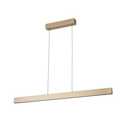 Lustră LED dimabilă pe cablu TARA LED/44W/230V 2700/3800/4500/5700K auriu