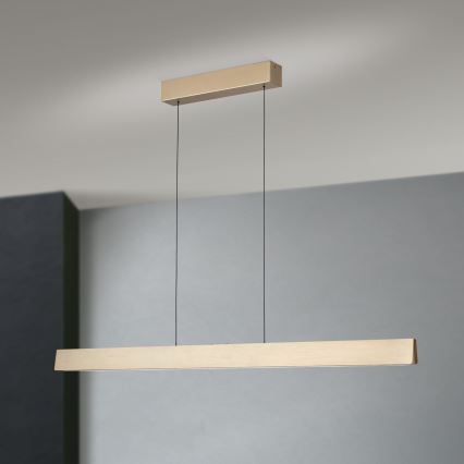 Lustră LED dimabilă pe cablu TARA LED/44W/230V 2700/3800/4500/5700K auriu