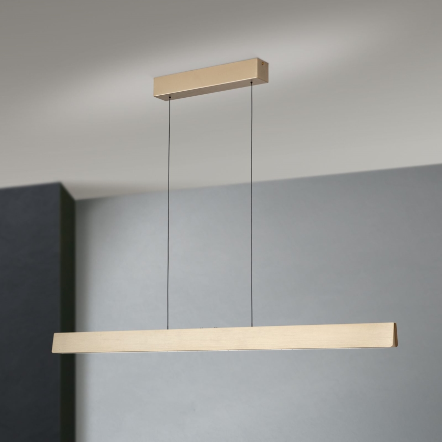 Lustră LED dimabilă pe cablu TARA LED/44W/230V 2700/3800/4500/5700K auriu