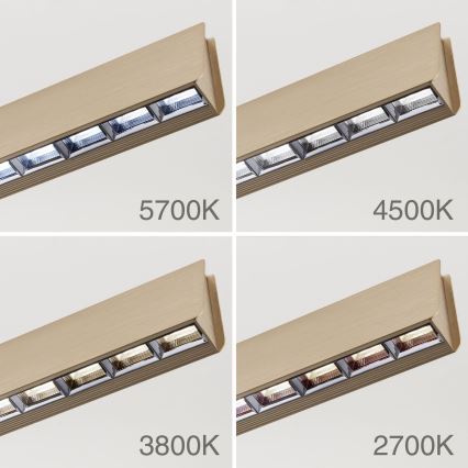 Lustră LED dimabilă pe cablu TARA LED/44W/230V 2700/3800/4500/5700K auriu