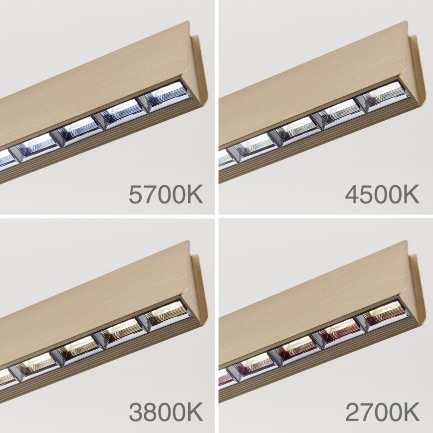 Lustră LED dimabilă pe cablu TARA LED/44W/230V 2700/3800/4500/5700K auriu
