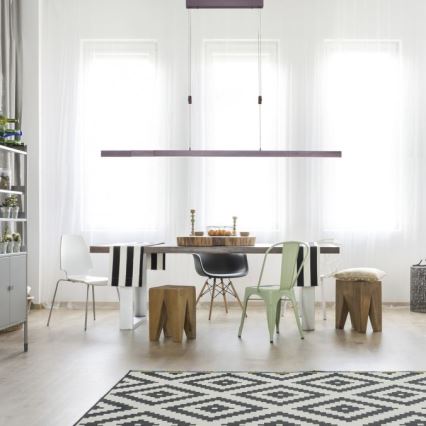 Lustră LED dimabilă pe cablu Paul Neuhaus 2568-24 ADRIANA LED/14W/230V