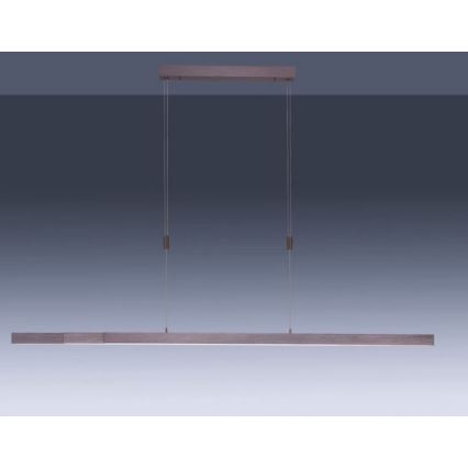 Lustră LED dimabilă pe cablu Paul Neuhaus 2568-24 ADRIANA LED/14W/230V