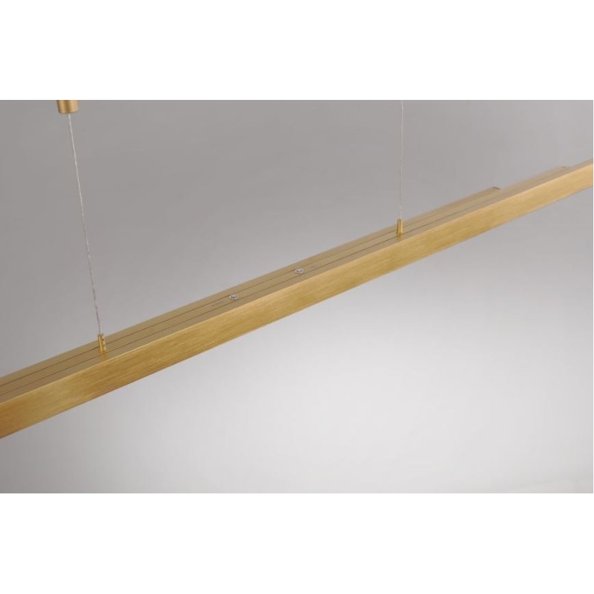 Lustră LED dimabilă pe cablu Paul Neuhaus 2568-60 ADRIANA LED/14W/230V alămie